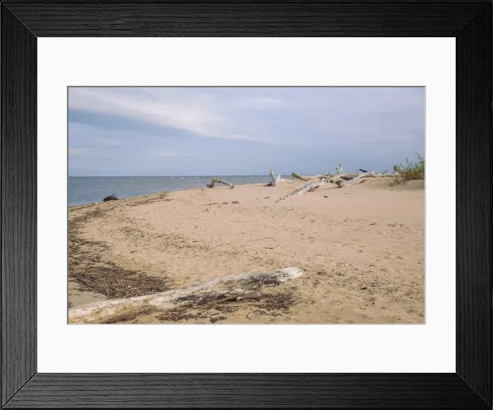 Framed Print : City Carnikava, Latvian Republic. Green nature in summer with Baltic sea and waves. Travel photo. Sep 04. 2019 Framed Print : City Carnikava, Latvian Republic. Green nature in summer with Baltic sea and waves. Travel photo. Sep 04. 2019