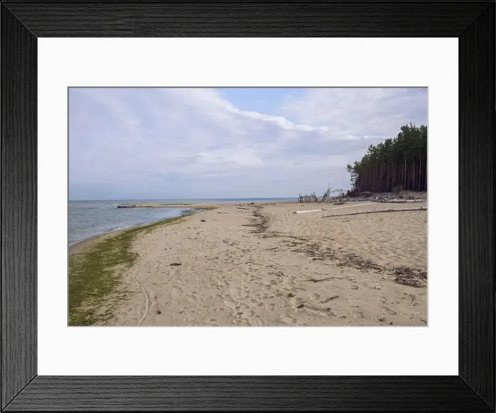 Framed Print : City Carnikava, Latvian Republic. Green nature in summer with Baltic sea and waves. Travel photo. Sep 04. 2019 Framed Print : City Carnikava, Latvian Republic. Green nature in summer with Baltic sea and waves. Travel photo. Sep 04. 2019