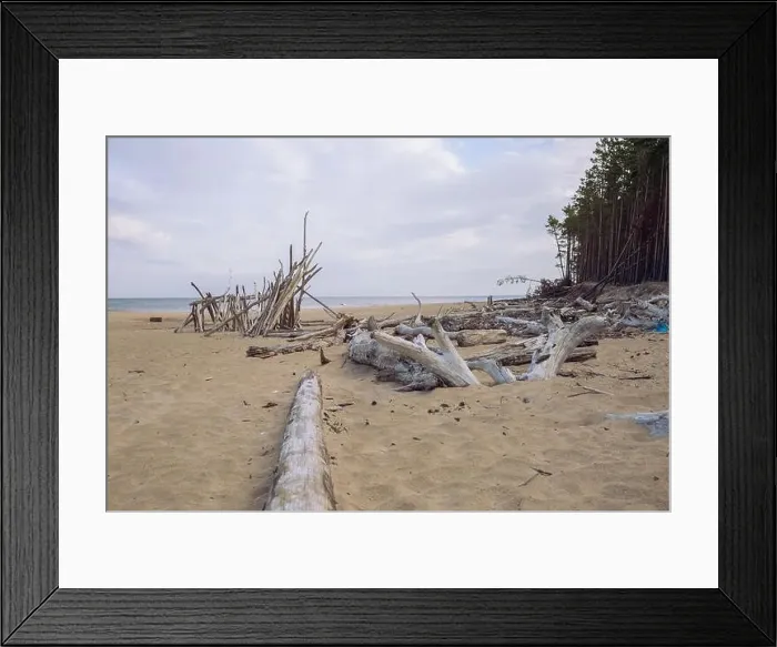 Framed Print : City Carnikava, Latvian Republic. Green nature in summer with Baltic sea and waves. Travel photo. Sep 04. 2019 Framed Print : City Carnikava, Latvian Republic. Green nature in summer with Baltic sea and waves. Travel photo. Sep 04. 2019