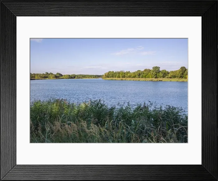 Framed Print : City Carnikava, Latvian Republic. Green nature in summer with River Gauja and waves. Travel photo. Sep 04. 2019 Framed Print : City Carnikava, Latvian Republic. Green nature in summer with River Gauja and waves. Travel photo. Sep 04. 2019