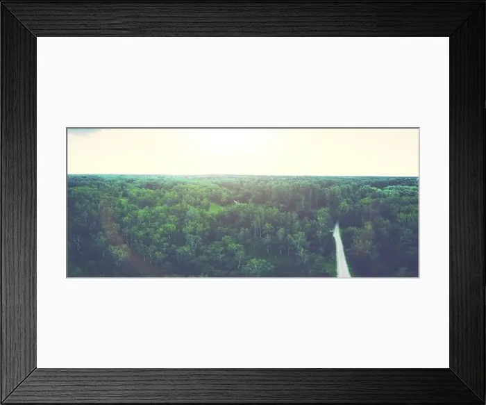 Framed Print : german forest photographed by drone in vintage colors