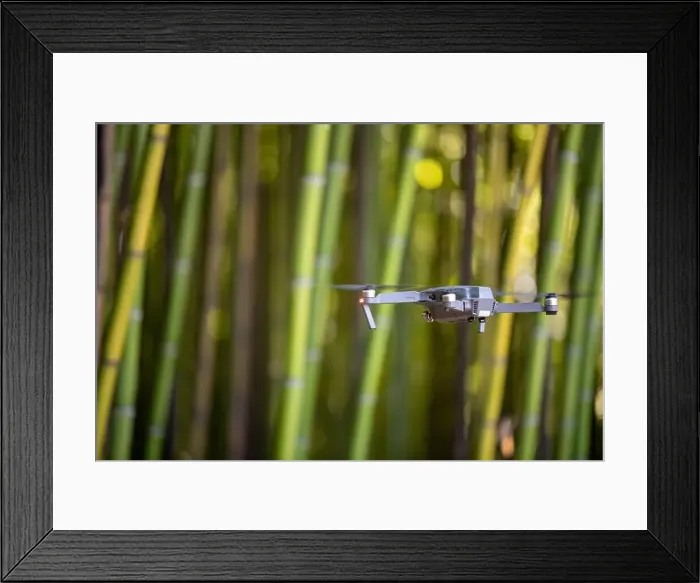 Framed Print : Drone in Bamboo plantation, Green bamboo fence texture background, bamboo texture Framed Print : Drone in Bamboo plantation, Green bamboo fence texture background, bamboo texture