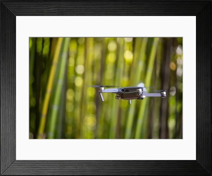 Framed Print : Drone in Bamboo plantation, Green bamboo fence texture background, bamboo texture Framed Print : Drone in Bamboo plantation, Green bamboo fence texture background, bamboo texture