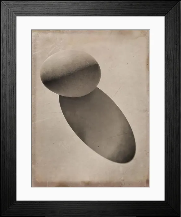 Framed Print : Still life image of a Single egg and it's shadow Framed Print : Still life image of a Single egg and it's shadow