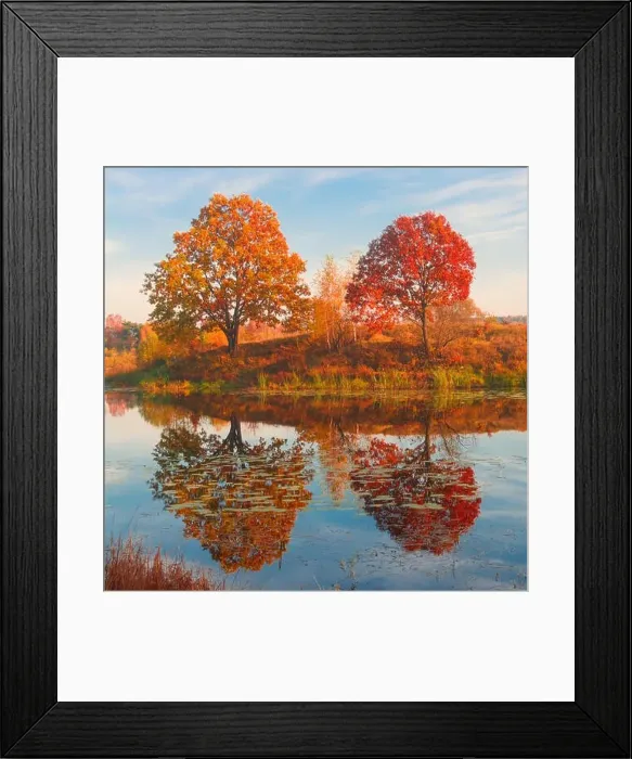 Framed Print : Amazing autumn landscape, forest lake with reflection Framed Print : Amazing autumn landscape, forest lake with reflection
