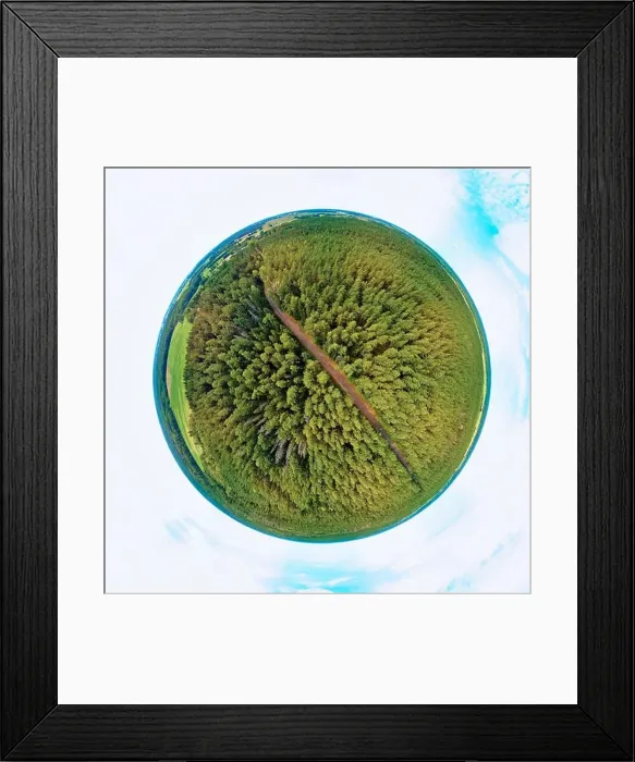 Framed Print : Beautiful 360 panoramic little planet aerial drone view to Bialowieza Forest - one of the last Framed Print : Beautiful 360 panoramic little planet aerial drone view to Bialowieza Forest - one of the last