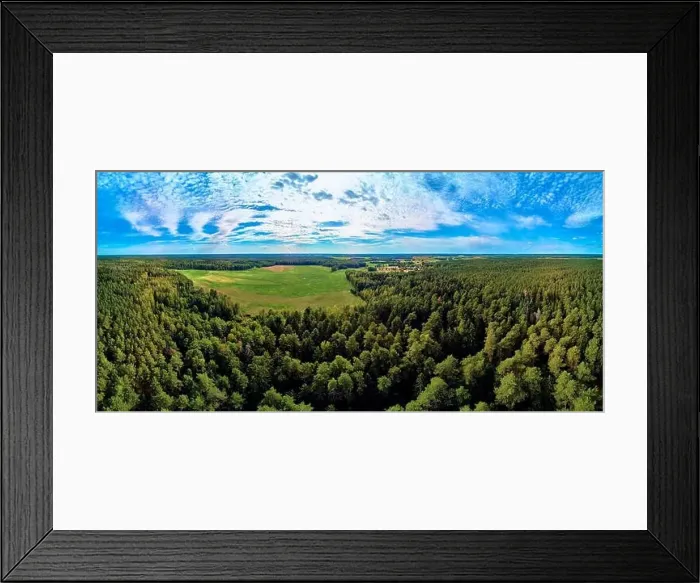 Framed Print : Beautiful panoramic aerial drone view to Bialowieza Forest - one of the last Framed Print : Beautiful panoramic aerial drone view to Bialowieza Forest - one of the last