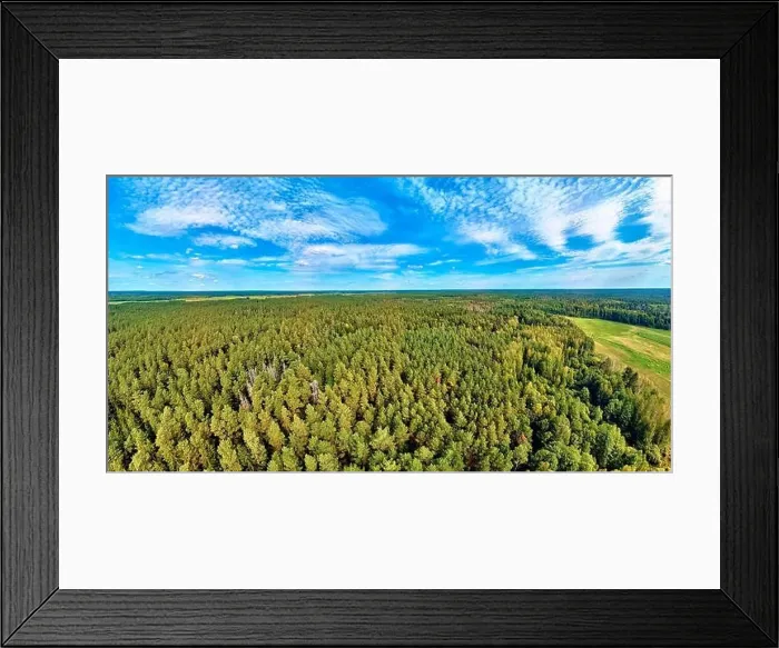 Framed Print : Beautiful panoramic aerial drone view to Bialowieza Forest - one of the last Framed Print : Beautiful panoramic aerial drone view to Bialowieza Forest - one of the last