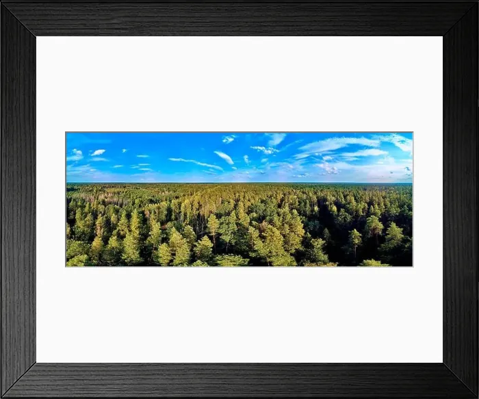 Framed Print : Beautiful panoramic aerial drone view to Bialowieza Forest - one of the last