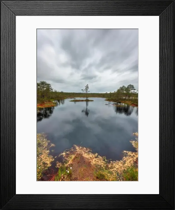 Framed Print : Viru Bog on a cloudy morning, east of Tallinn, Estonia, taken in May 2019