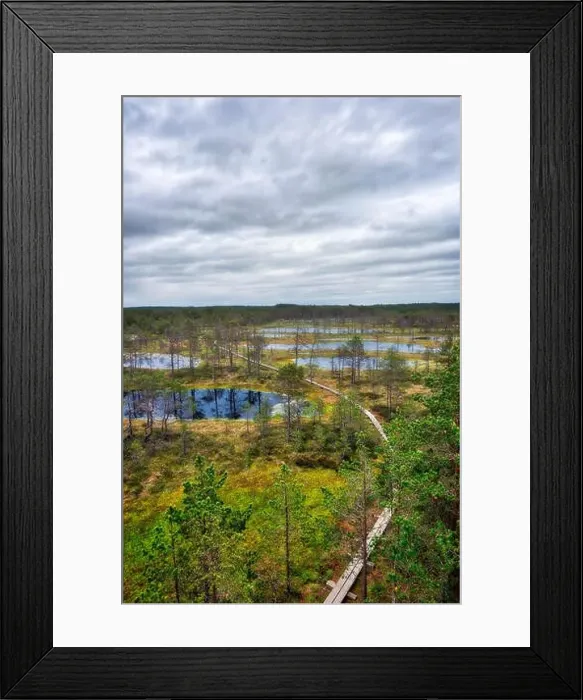 Framed Print : Viru Bog on a cloudy morning, east of Tallinn, Estonia, taken in May 2019 Framed Print : Viru Bog on a cloudy morning, east of Tallinn, Estonia, taken in May 2019