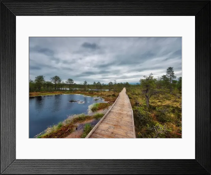 Framed Print : Viru Bog on a cloudy morning, east of Tallinn, Estonia, taken in May 2019 Framed Print : Viru Bog on a cloudy morning, east of Tallinn, Estonia, taken in May 2019