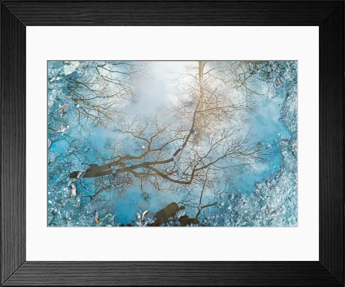 Framed Print : Reflection of a tree in a puddle for backgrounds Framed Print : Reflection of a tree in a puddle for backgrounds