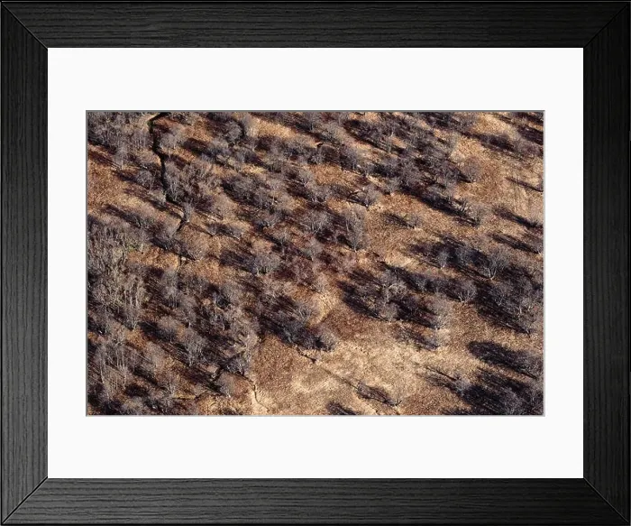 Framed Print : € Framed Print : €