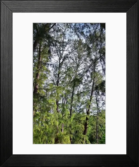Framed Print : Island, Ocean views near Phuket Thailand with Blues