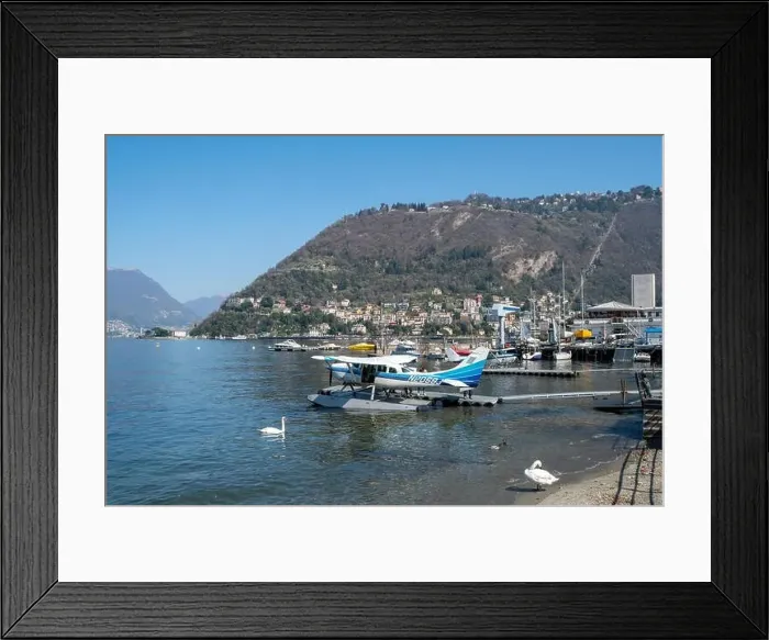 Framed Print : Amazing seaplane with swans in Como - Como lake in Italy Framed Print : Amazing seaplane with swans in Como - Como lake in Italy