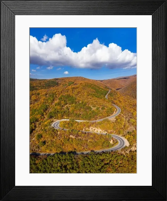 Framed Print : Road in forest at autumn season Framed Print : Road in forest at autumn season