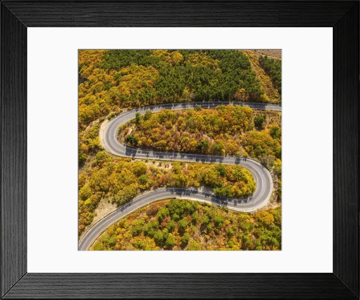 Framed Print : Road in forest at autumn season Framed Print : Road in forest at autumn season