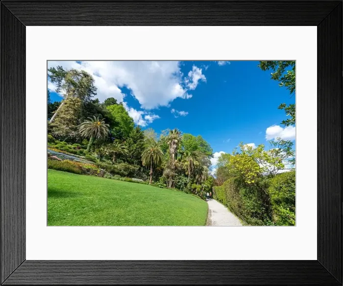 Framed Print : Amazing garden in Tremezzo - Como lake in Italy Framed Print : Amazing garden in Tremezzo - Como lake in Italy