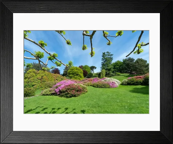 Framed Print : Amazing garden with flowers in Bellagio - Como lake in Italy Framed Print : Amazing garden with flowers in Bellagio - Como lake in Italy