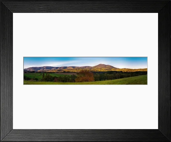 Framed Print : Panoramic view of the beautiful vineyards of Alsace in the fall. Bright yellow color prevails. France Framed Print : Panoramic view of the beautiful vineyards of Alsace in the fall. Bright yellow color prevails. France