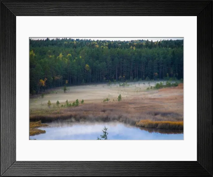 Framed Print : View of forest and Kangari lake from above. Latvian nature. Fog Framed Print : View of forest and Kangari lake from above. Latvian nature. Fog