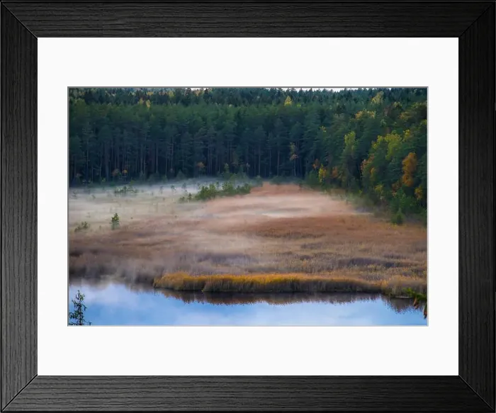 Framed Print : View of forest and Kangari lake from above. Latvian nature. Fog Framed Print : View of forest and Kangari lake from above. Latvian nature. Fog