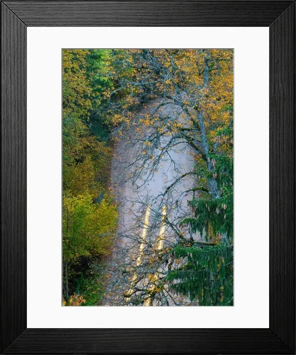 Framed Print : View of road in forest from above. Headlights on a long exposure. Autumn in Latvia Framed Print : View of road in forest from above. Headlights on a long exposure. Autumn in Latvia