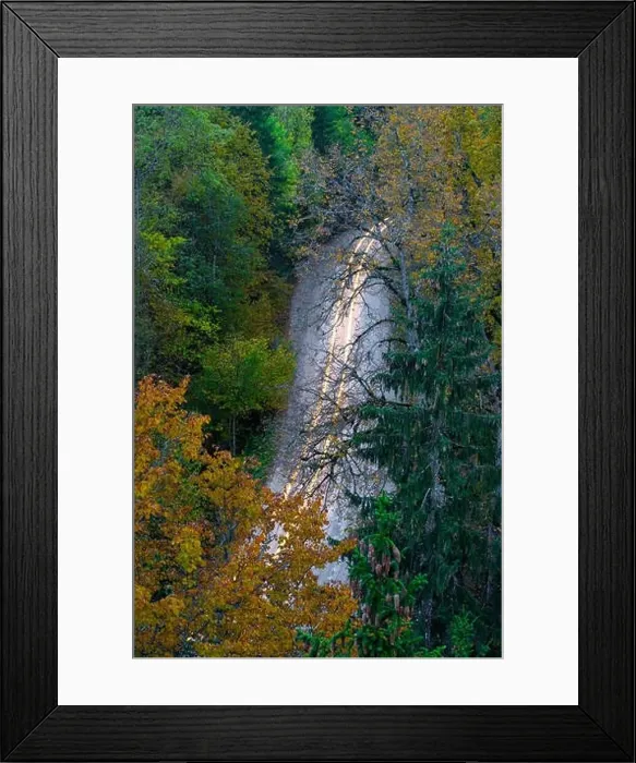 Framed Print : View of road in forest from above. Headlights on a long exposure. Autumn in Latvia Framed Print : View of road in forest from above. Headlights on a long exposure. Autumn in Latvia