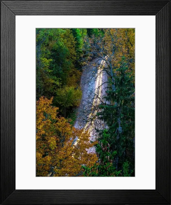 Framed Print : View of road in forest from above. Headlights on a long exposure. Autumn in Latvia Framed Print : View of road in forest from above. Headlights on a long exposure. Autumn in Latvia