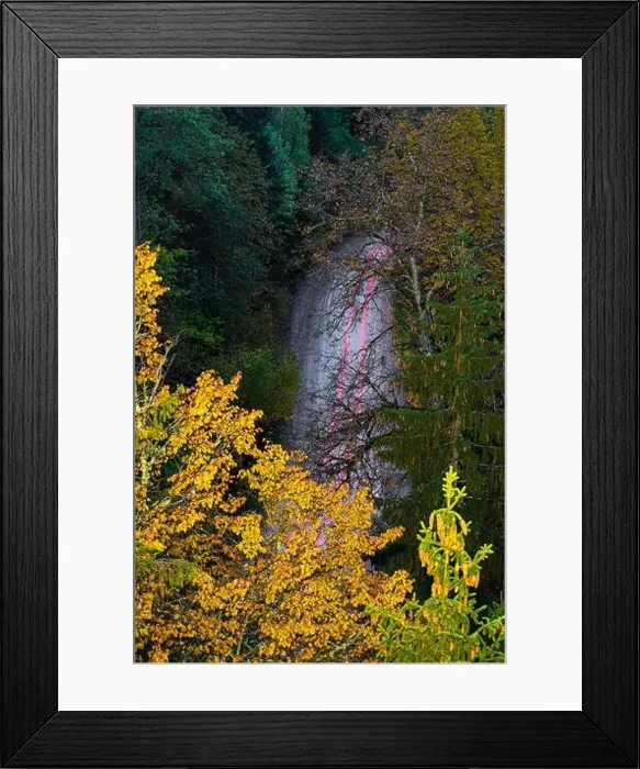 Framed Print : View of road in forest from above. Headlights on a long exposure. Autumn in Latvia Framed Print : View of road in forest from above. Headlights on a long exposure. Autumn in Latvia