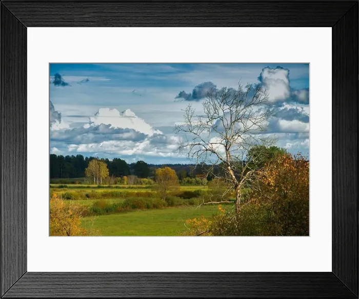 Framed Print : Beautiful autumn landscape. View of forest and field. Latvian nature Framed Print : Beautiful autumn landscape. View of forest and field. Latvian nature