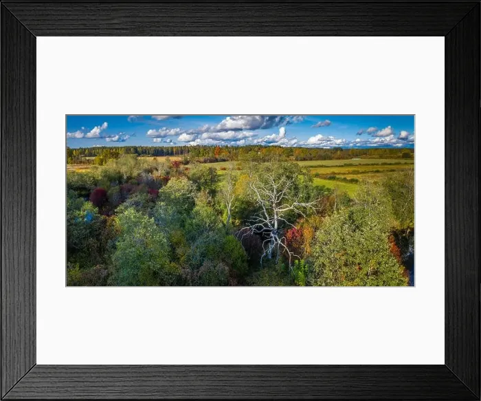 Framed Print : Panorama view of autumn forest and field from above. Latvian nature Framed Print : Panorama view of autumn forest and field from above. Latvian nature