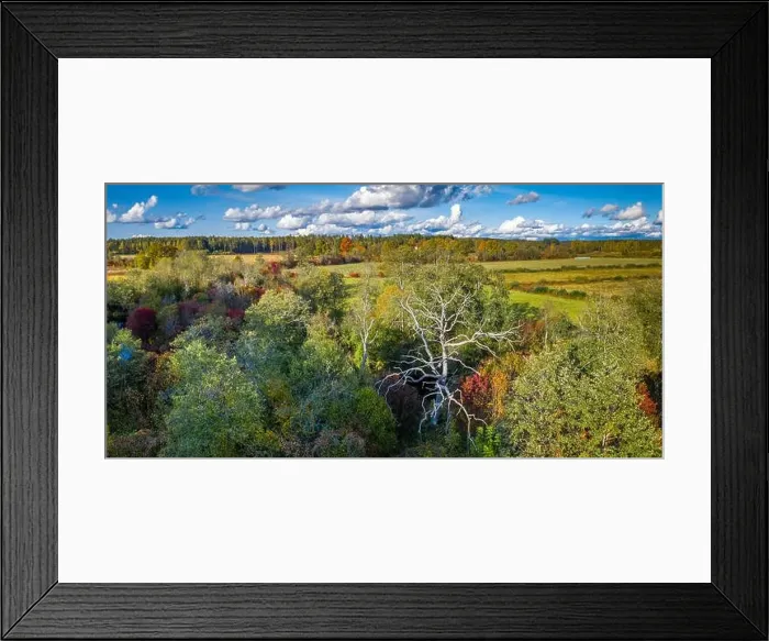 Framed Print : Panorama view of autumn forest and field from above. Latvian nature Framed Print : Panorama view of autumn forest and field from above. Latvian nature