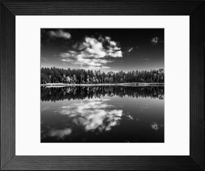 Framed Print : View of Kingari lake. Black and white. Latvian nature. Beautiful landscape. Framed Framed Print : View of Kingari lake. Black and white. Latvian nature. Beautiful landscape. Framed