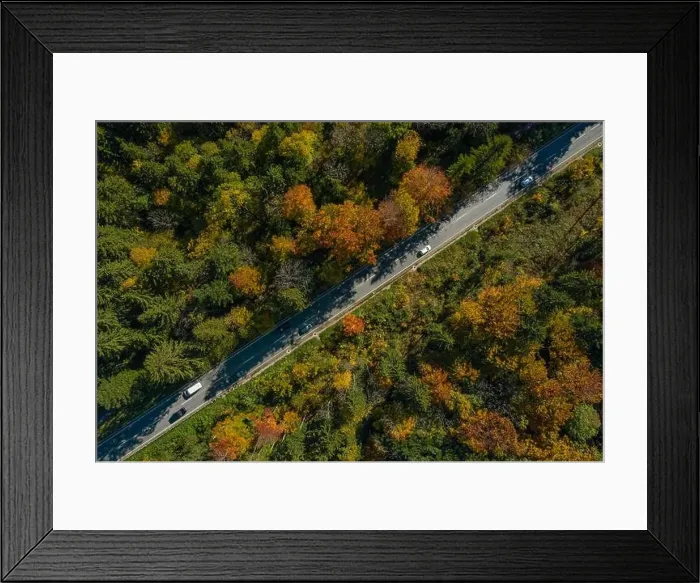 Framed Print : Vertical viewfrom a drone at a autumn road Framed Print : Vertical viewfrom a drone at a autumn road