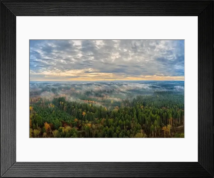 Framed Print : Foggy morning as an aerial above a autumn impressive colored forest