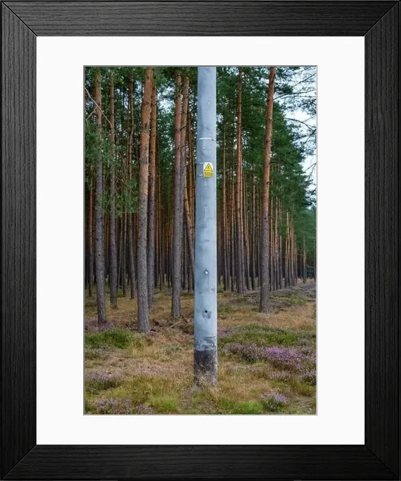 Framed Print : High voltage electric pole in the forest Framed Print : High voltage electric pole in the forest