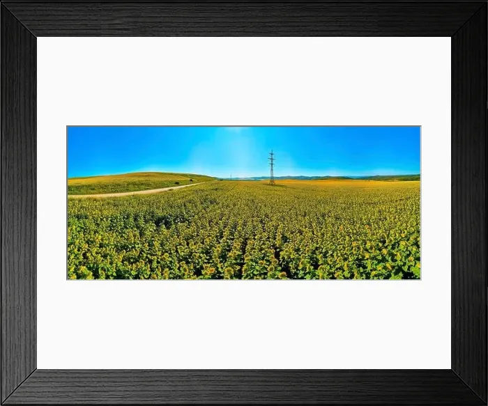 Framed Print : Beautiful futuristic panoramic (360 spherical panorama little planet) Framed Print : Beautiful futuristic panoramic (360 spherical panorama little planet)
