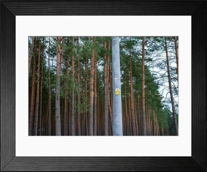 Framed Print : High voltage electric pole in the forest Framed Print : High voltage electric pole in the forest