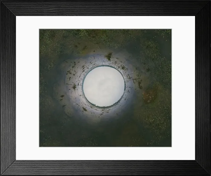 Framed Print : Lake with old trees sticking out of the water Framed Print : Lake with old trees sticking out of the water