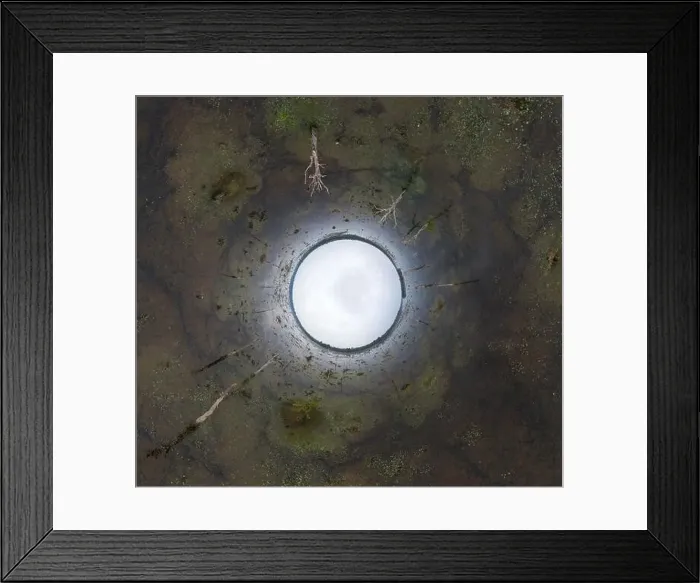 Framed Print : Lake with old trees sticking out of the water Framed Print : Lake with old trees sticking out of the water