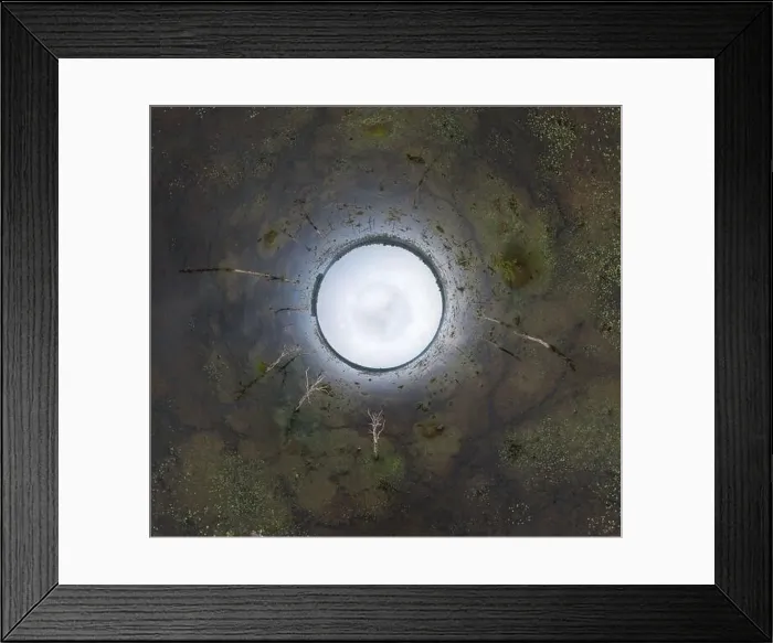 Framed Print : Lake with old trees sticking out of the water Framed Print : Lake with old trees sticking out of the water