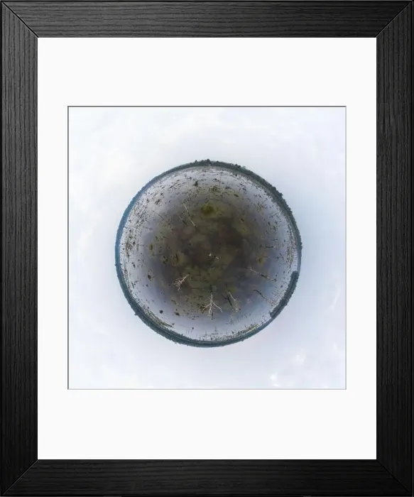 Framed Print : Lake with old trees sticking out of the water Framed Print : Lake with old trees sticking out of the water