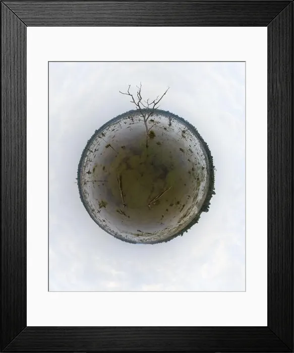 Framed Print : Lake with old trees sticking out of the water Framed Print : Lake with old trees sticking out of the water