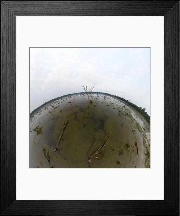 Framed Print : Lake with old trees sticking out of the water Framed Print : Lake with old trees sticking out of the water