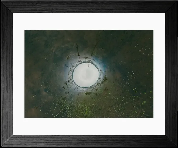 Framed Print : Lake with old trees sticking out of the water Framed Print : Lake with old trees sticking out of the water