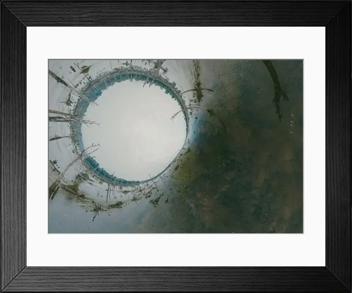 Framed Print : Lake with old trees sticking out of the water Framed Print : Lake with old trees sticking out of the water