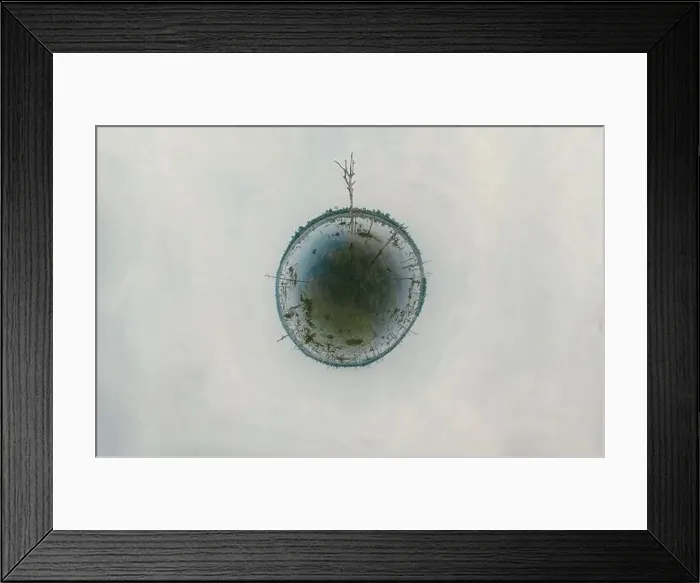 Framed Print : Lake with old trees sticking out of the water Framed Print : Lake with old trees sticking out of the water