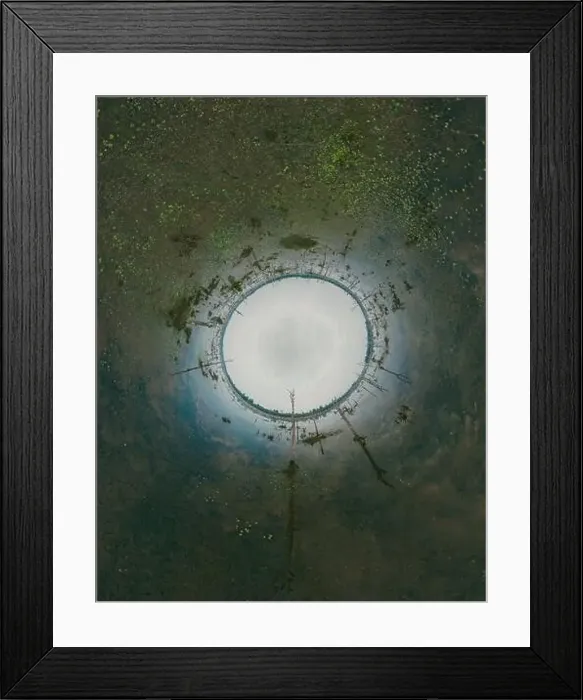 Framed Print : Lake with old trees sticking out of the water Framed Print : Lake with old trees sticking out of the water